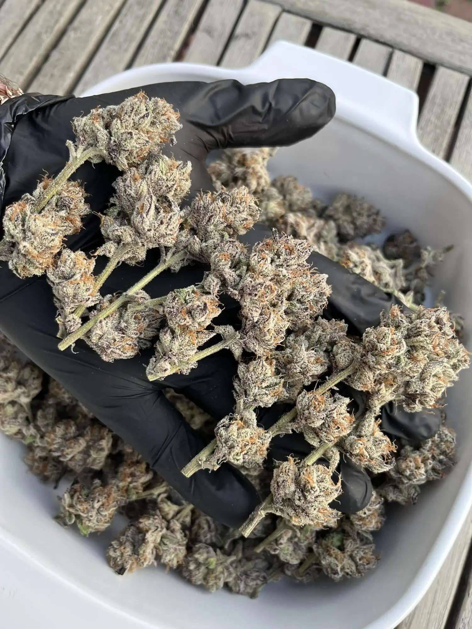 grass roots レインディア ジャンク品 CR892 -WESTLAKE,CHAOYANG,ARISUN,GOODRIDE,TRAZANO-ZHONGCE RUBBER