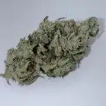 Jet Puft - The Menthol Vol. 2 - RDWC #3