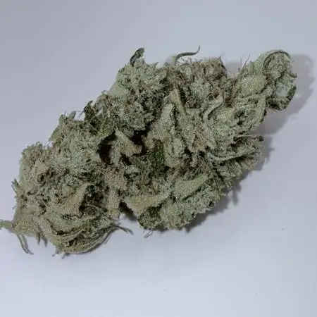 Jet Puft - The Menthol Vol. 2 - RDWC #3