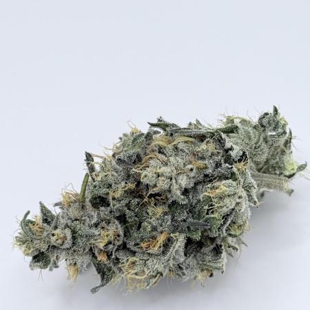 Triangle Kush X Irene - from Nspecta