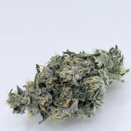 Triangle Kush X Irene - from Nspecta
