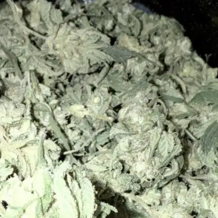Jet Puft - The Menthol Vol. 2 - Aero #2
