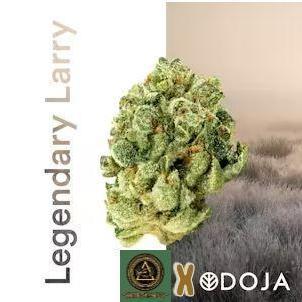 Legendary Larry (DOJA x Swamp Boys)