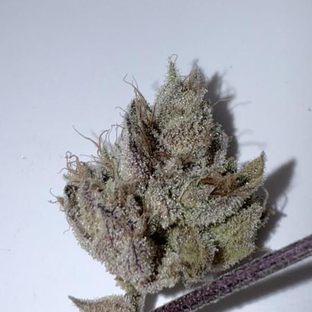 Jet Puft - The Menthol Vol. 2 - RDWC #4