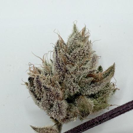 Jet Puft - The Menthol Vol. 2 - RDWC #4