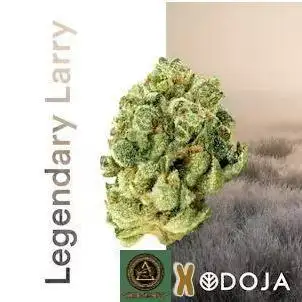 Legendary Larry (DOJA x Swamp Boys)