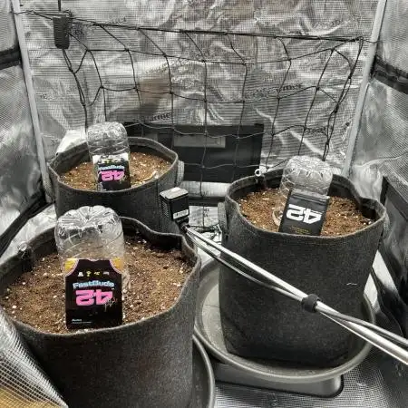 Auto Mix Run ( First Time AutoFlower )