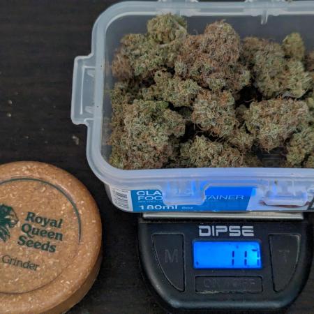 Auto Grow 25 No6 - Titan F1