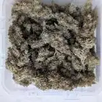 Auto Grow 25 No10 - Trainwreck Automatic