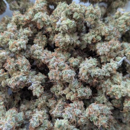 Auto Grow 25 No3 - Pink Runtz Auto