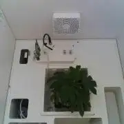 Sunday_Lab | Super Lemon Haze #01