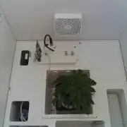 Sunday_Lab | Super Lemon Haze #01