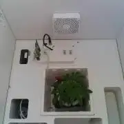 Sunday_Lab | Super Lemon Haze #01