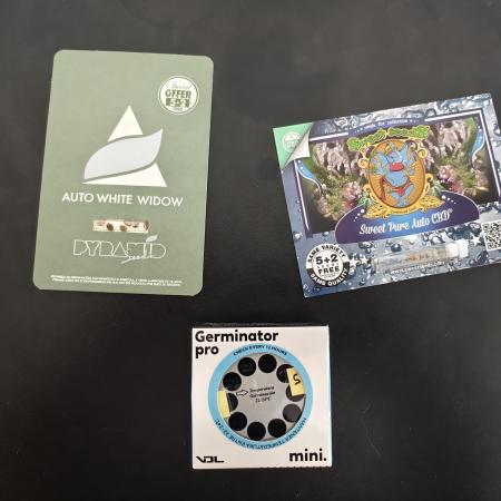 Auto White Widow / Sweet Pure Auto CBD