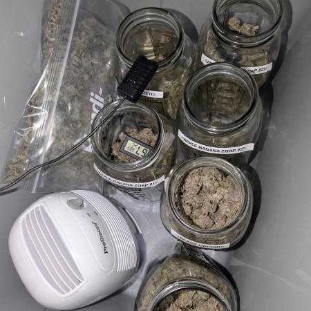 First Coco Run - LIT: ABZ | Zamnesia: Black Orchid | Zamnesia: Biscotti