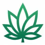 Midnight Splendor 2019 