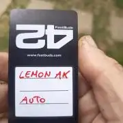 Lemon AK Auto