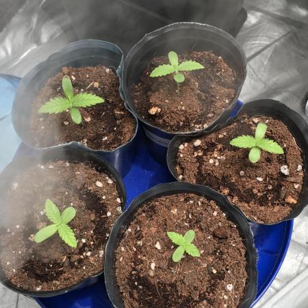 ultimo ciclo del año🌱💚