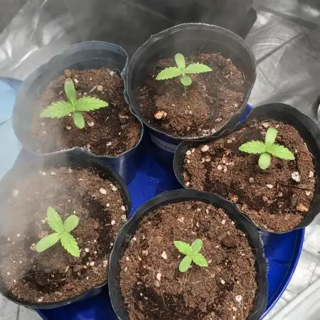 ultimo ciclo del año🌱💚