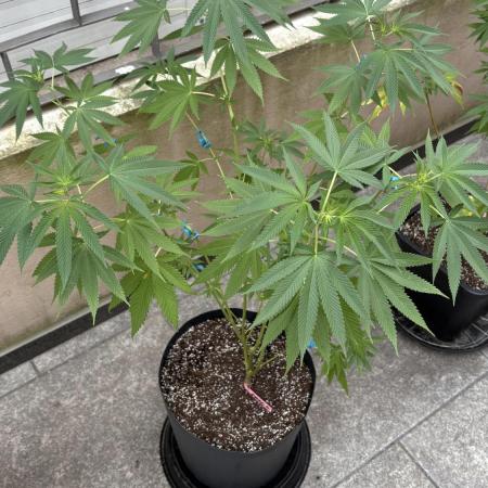 ultimo ciclo del año🌱💚