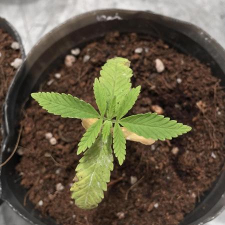 ultimo ciclo del año🌱💚