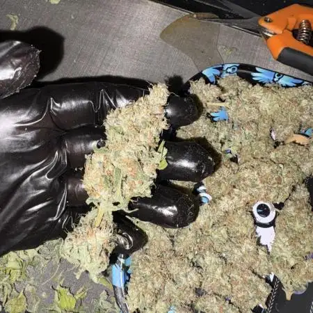 Oreoz Milkshake f3