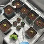 ultimo ciclo del año🌱💚