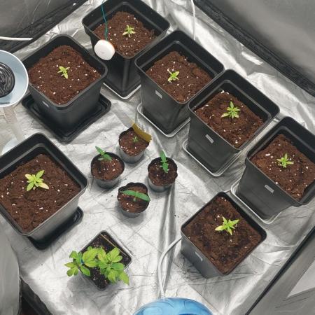 ultimo ciclo del año🌱💚