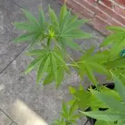 ultimo ciclo del año🌱💚