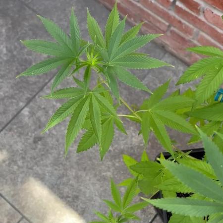 ultimo ciclo del año🌱💚