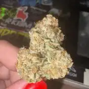 Mango Cake Crasher