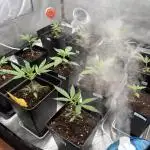 ultimo ciclo del año🌱💚