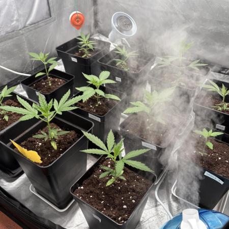 ultimo ciclo del año🌱💚