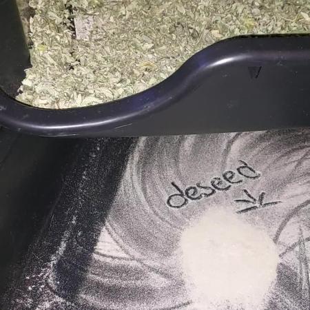 Cookies Kush: ciclo 13/11