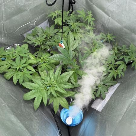 ultimo ciclo del año🌱💚