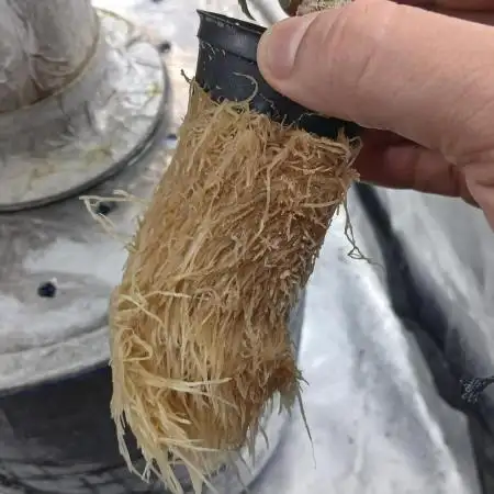 Perpetual grow Tower défonce