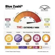 Blue Zushi Free Seed!
