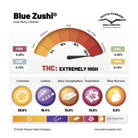 Blue Zushi Free Seed!