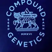 La Bomba !!!