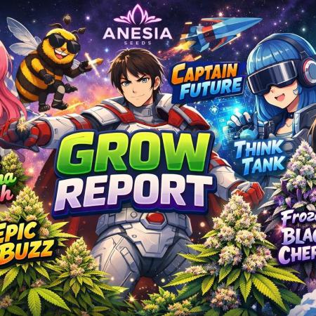 Anesia - the glorious 5