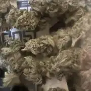 I can’t decide so I do them all