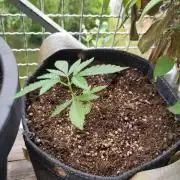 First Photo Outdoor