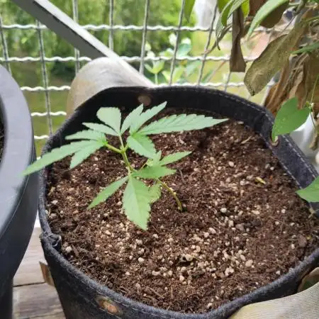 First Photo Outdoor