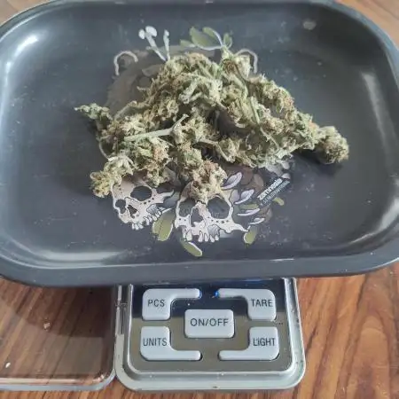 Tasty Lemon Cherry Cookies Outdoor