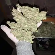 Cherry C, Strawberry G, Crystal Meth