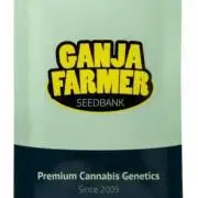 Pineapple Sunrise Auto by Ganjafarmer