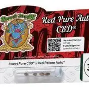 🍷 Red Pure CBD Auto (Sweet Seeds)