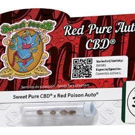 🍷 Red Pure CBD Auto (Sweet Seeds)