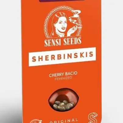 Cherry Bacio - Sensi x Sherbinski