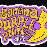 🥊 Banana Purple Punch Auto (Fastbuds)